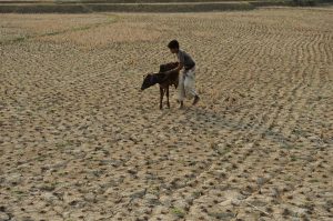 Photo credit: UNICEF/UNI118546/Nooran UNICEF/UNI118546/Nooran