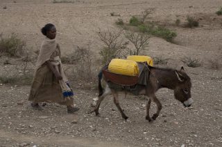 UNICEF/UNI94518/Marinovich