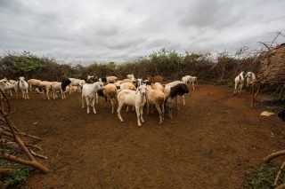 UNICEF Ethiopia/2017/Zerihun Sewunet