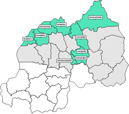 A drawn map highlighting the districts at high risk of SVD: Rubavu, Nyabihu, Musanze, Burera, Gicumbi, Gasabo, Kickukiro, Nyarugenge, Nyagatare