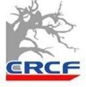 المركز الإقليمي للبحوث والتدريب على جائزة Clinique de Fann (CRCF)